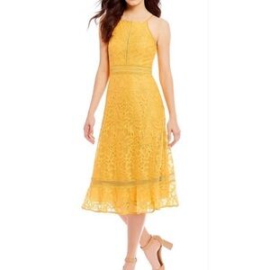 Antonio Melani Heinrich Lace Midi Dress Size 0